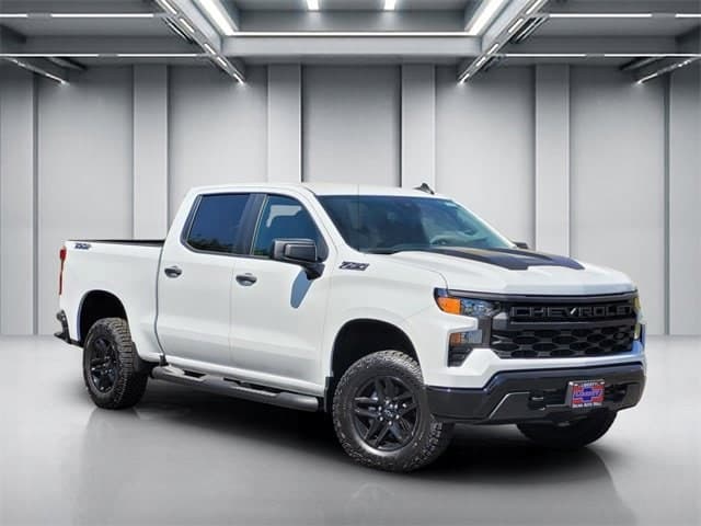 Vehicle Detail Icon