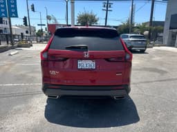 Extra Photo