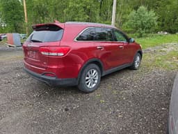 Extra Photo