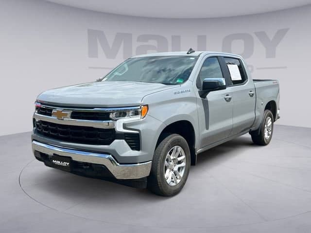 Vehicle Detail Icon