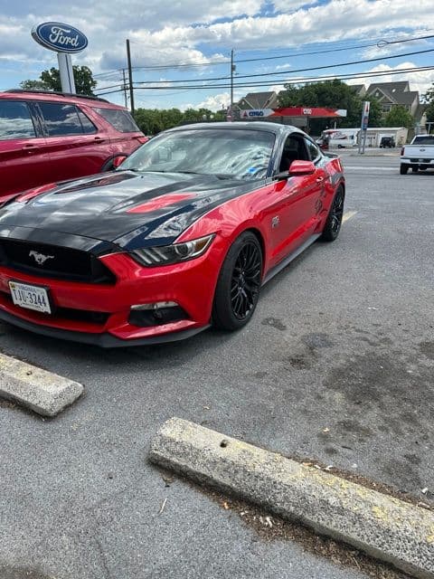 2015 Ford Mustang GT — photo 1 of 2