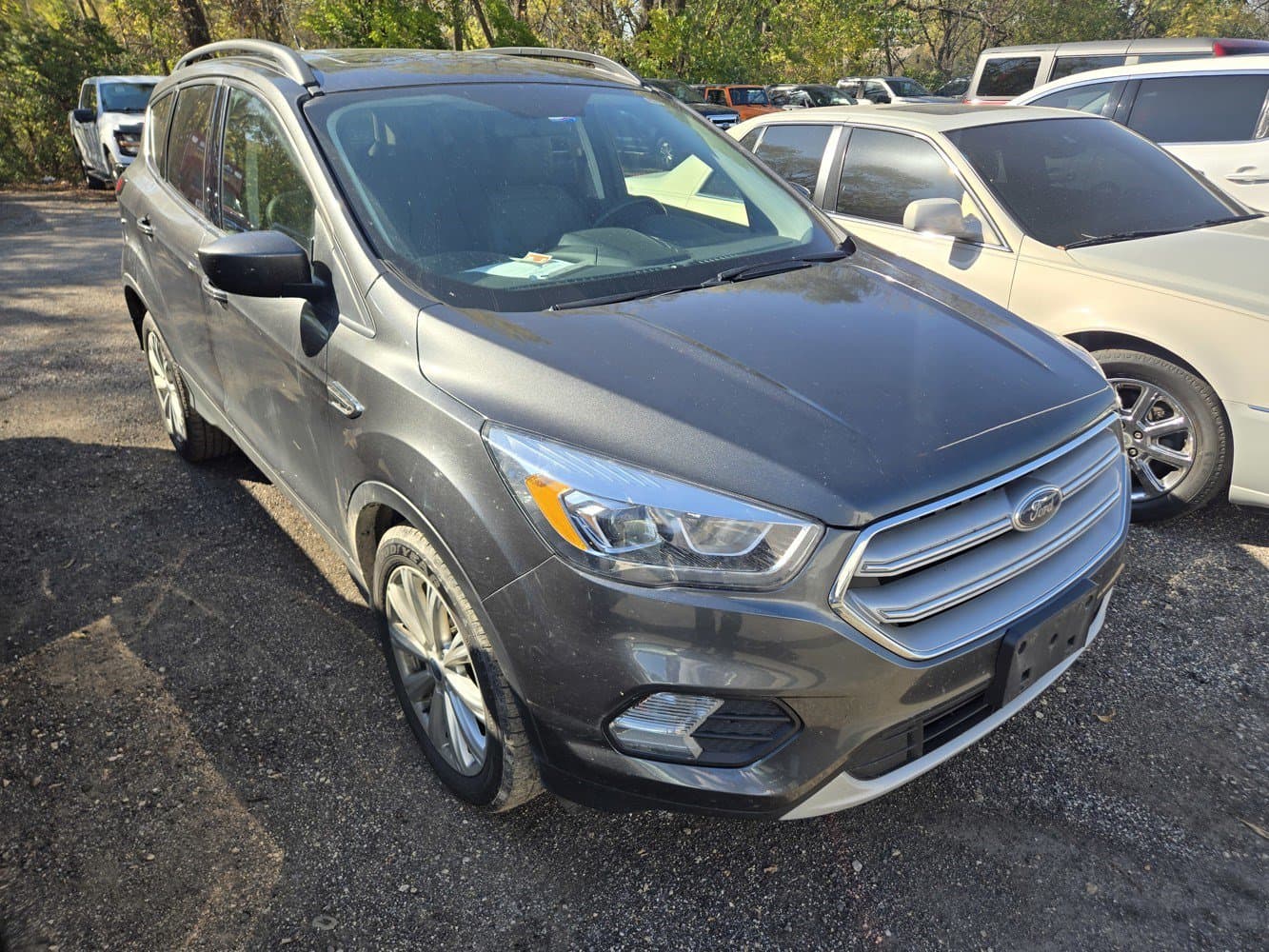2019 Ford Escape SEL — photo 1 of 4