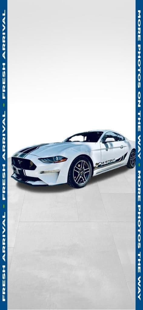 Vehicle Detail Icon