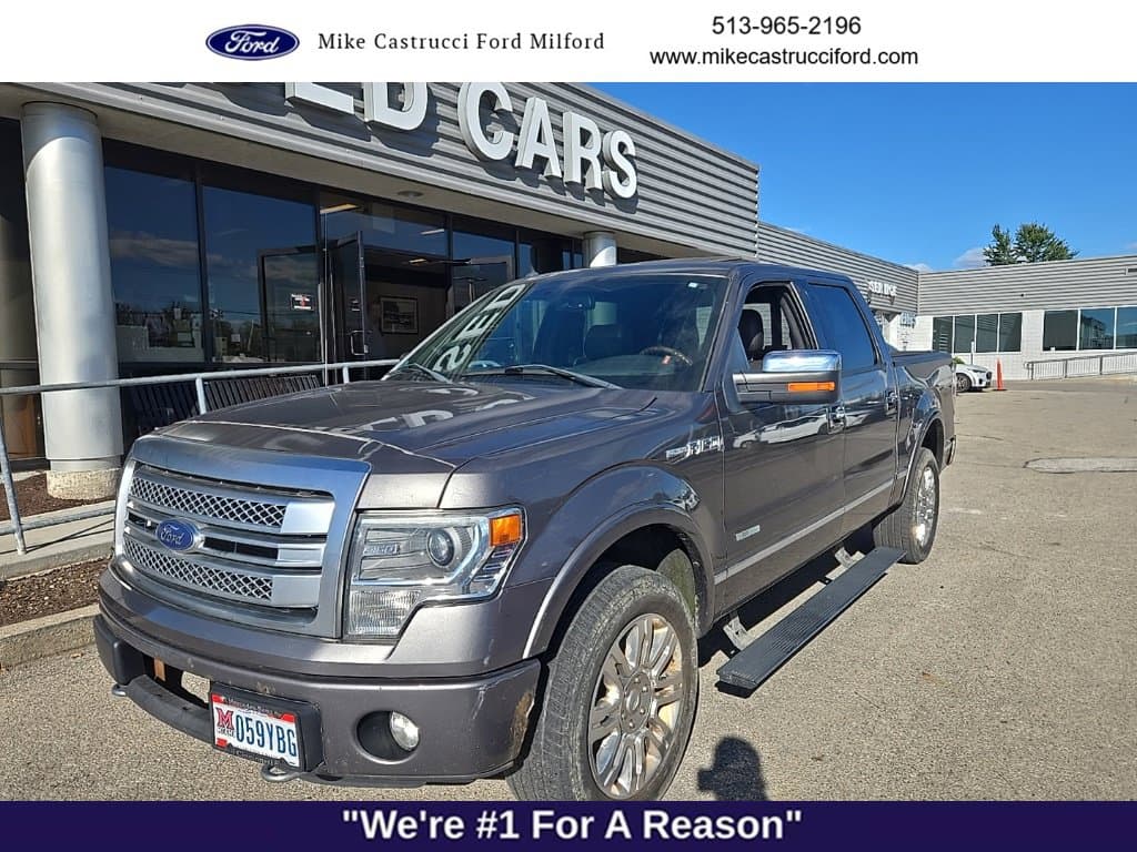 2013 Ford F-150 Platinum — photo 1 of 8