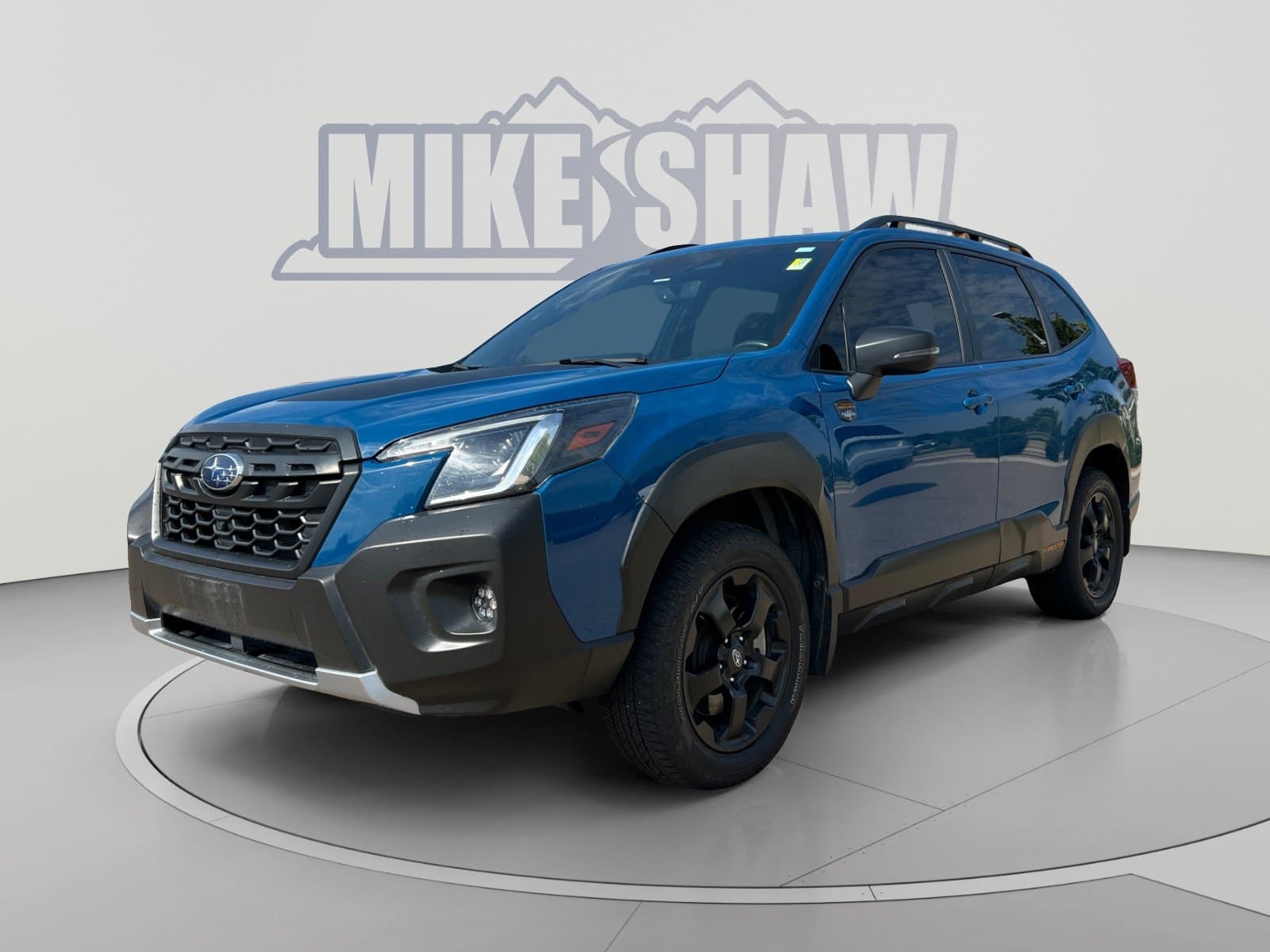 Vehicle Detail Icon