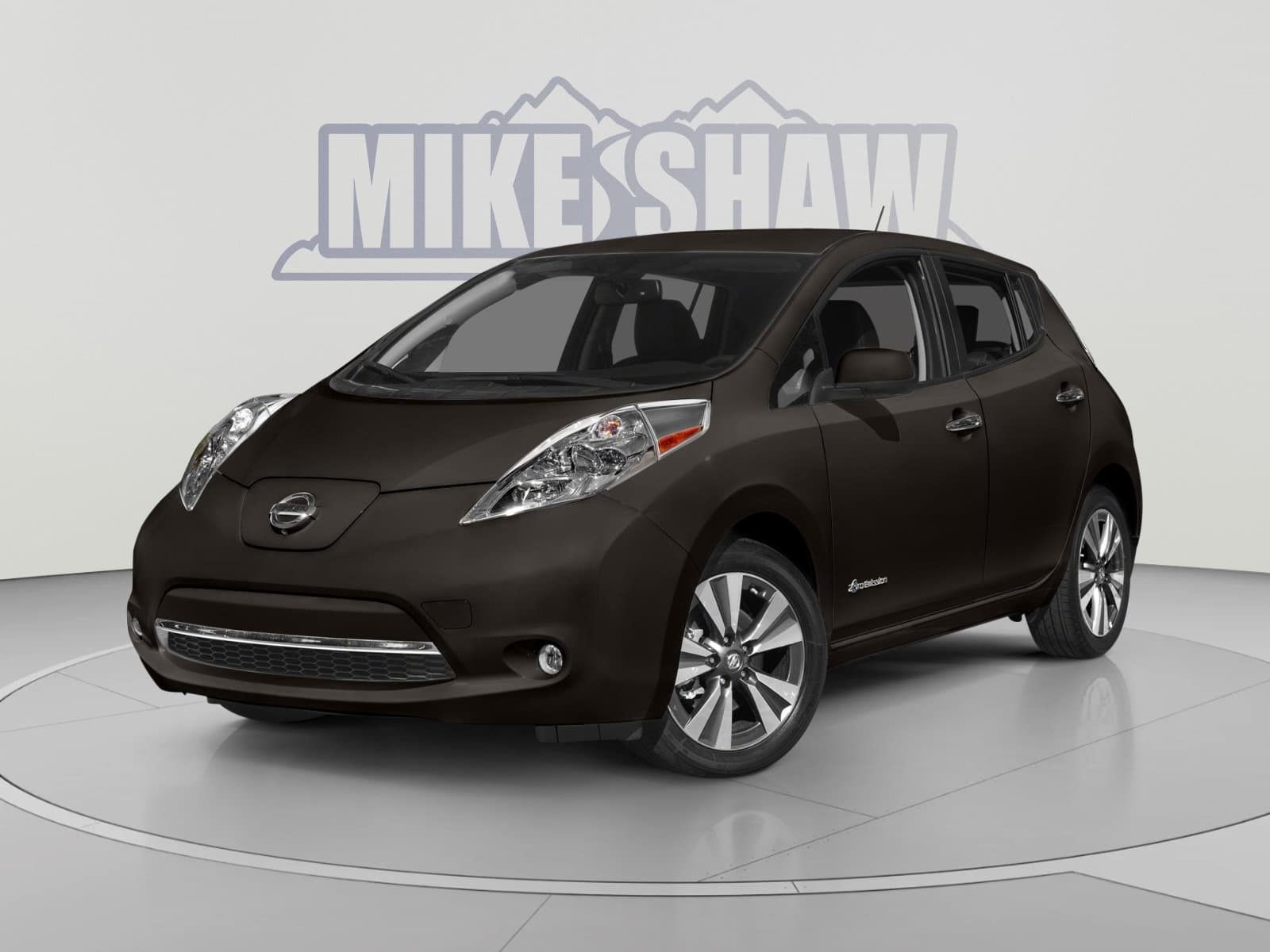 2016 Nissan LEAF SV — photo 1 of 11