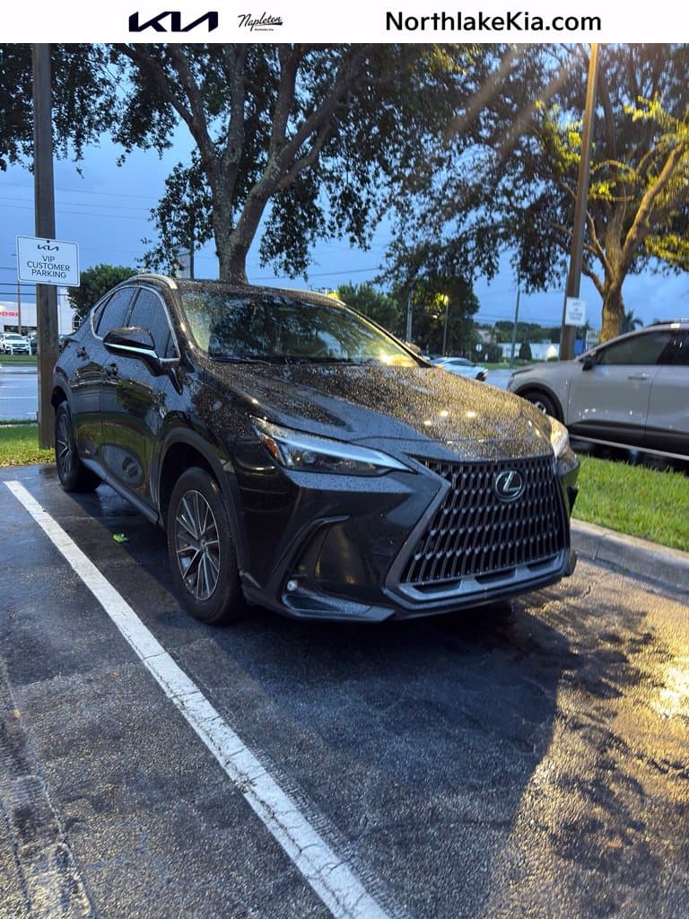 2026 Lexus NX Base — photo 1 of 3