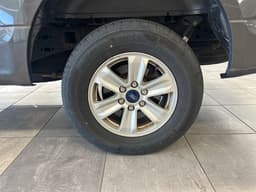 Extra Photo