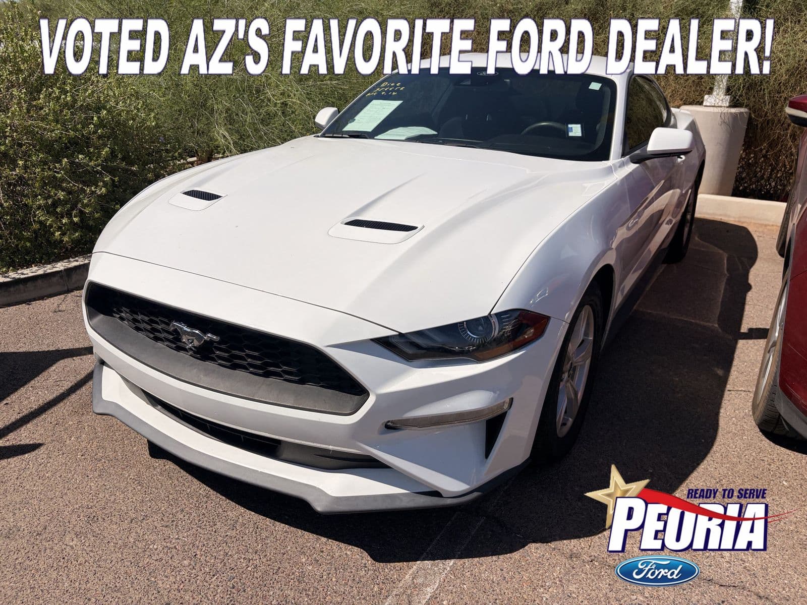 2021 Ford Mustang EcoBoost — photo 1 of 16