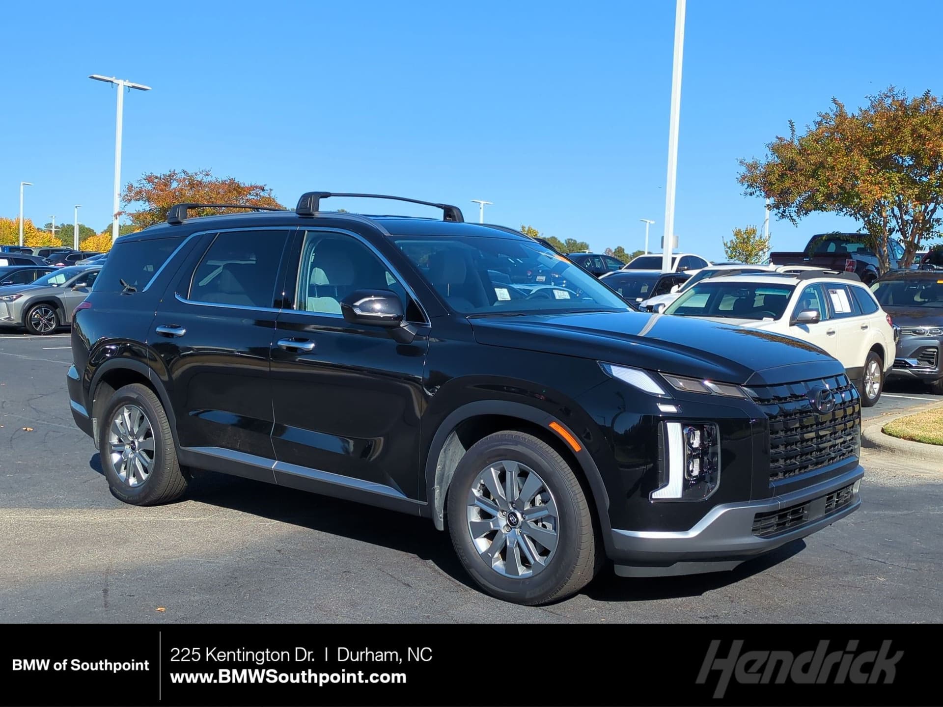 2025 Hyundai Palisade SEL — photo 1 of 34