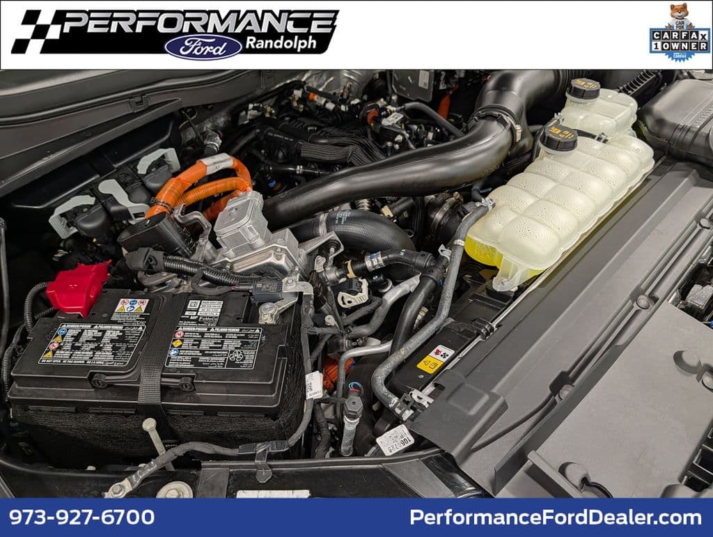 2025 Ford F-150 XLT — photo 1 of 36