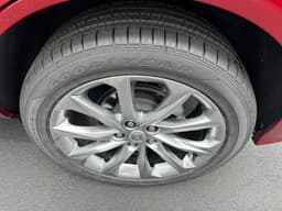 Extra Photo