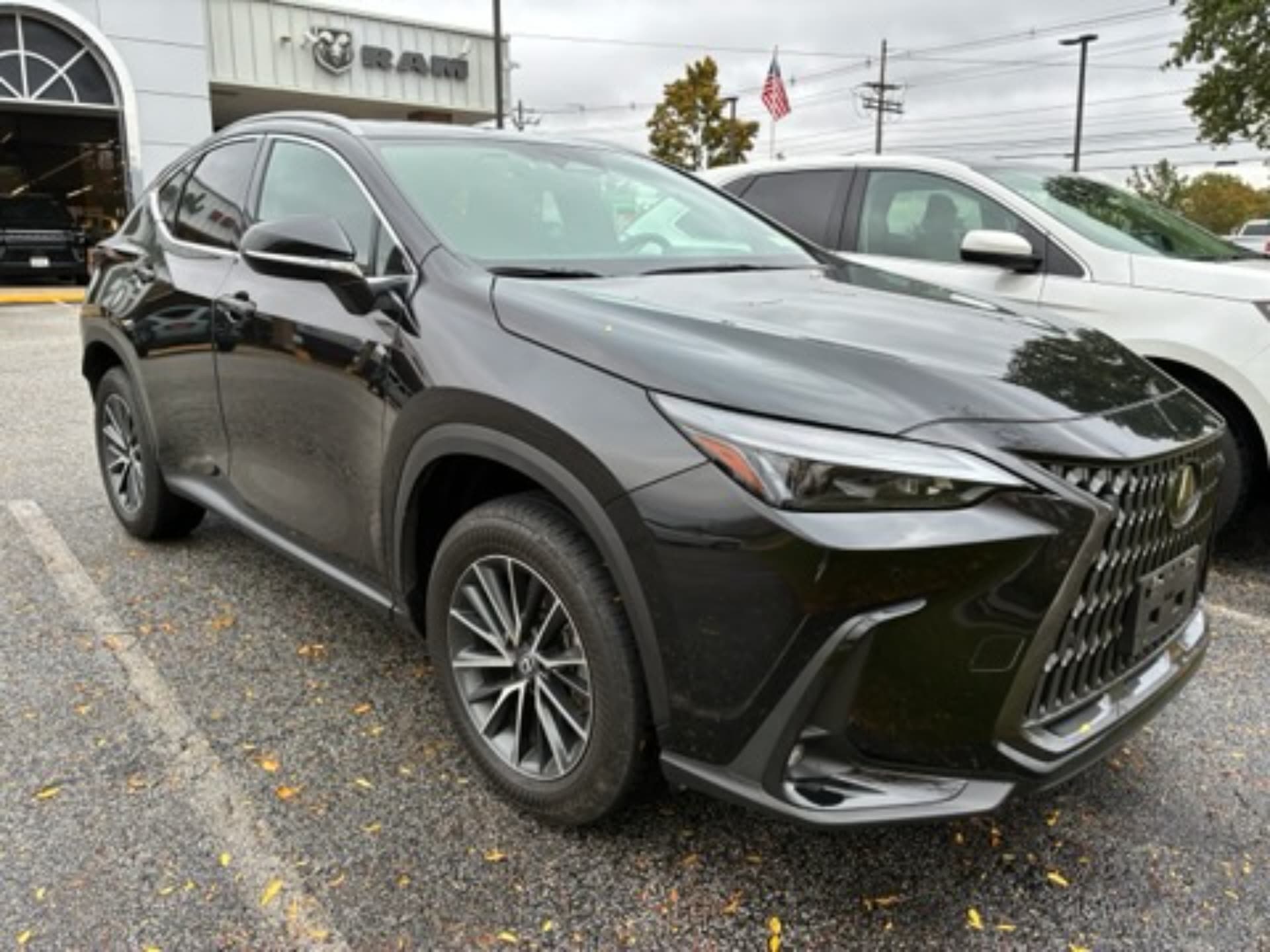 2025 Lexus NX NX 350 Premium — photo 1 of 19