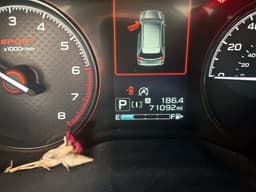 Extra Photo