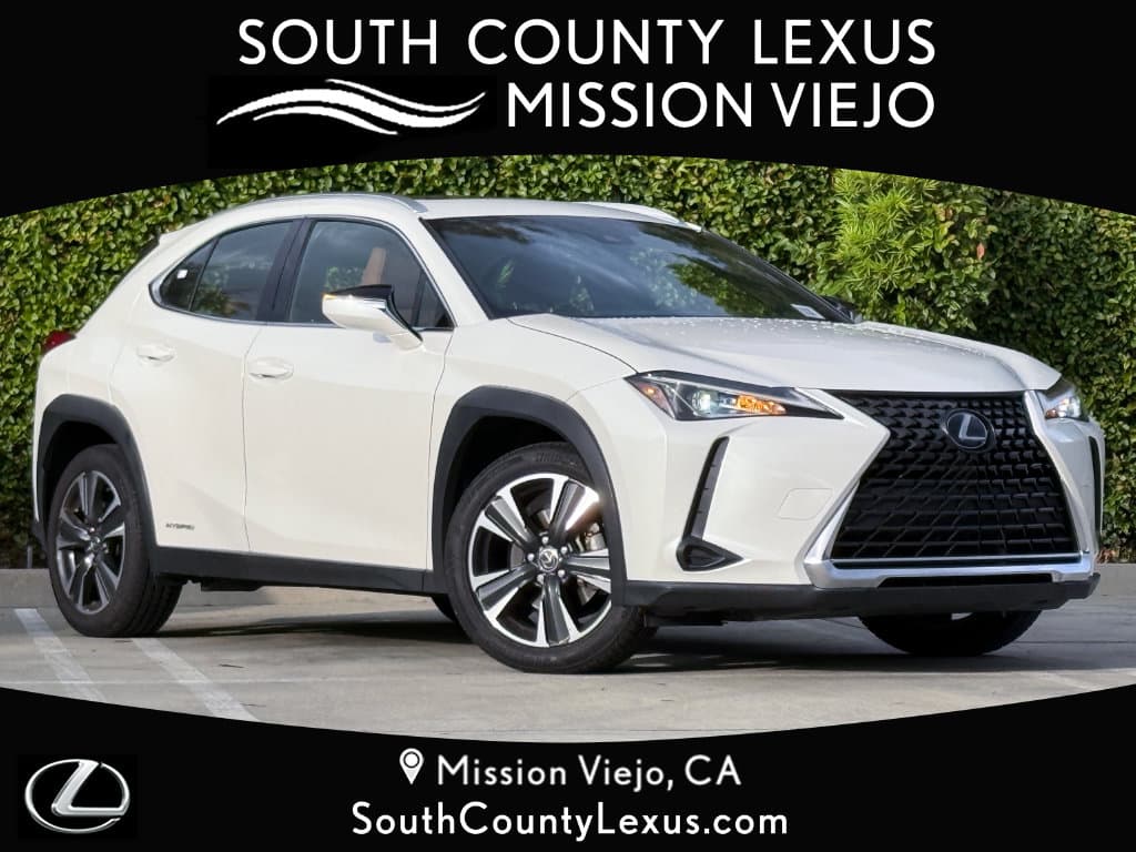 2019 Lexus UX UX 250h — photo 1 of 15