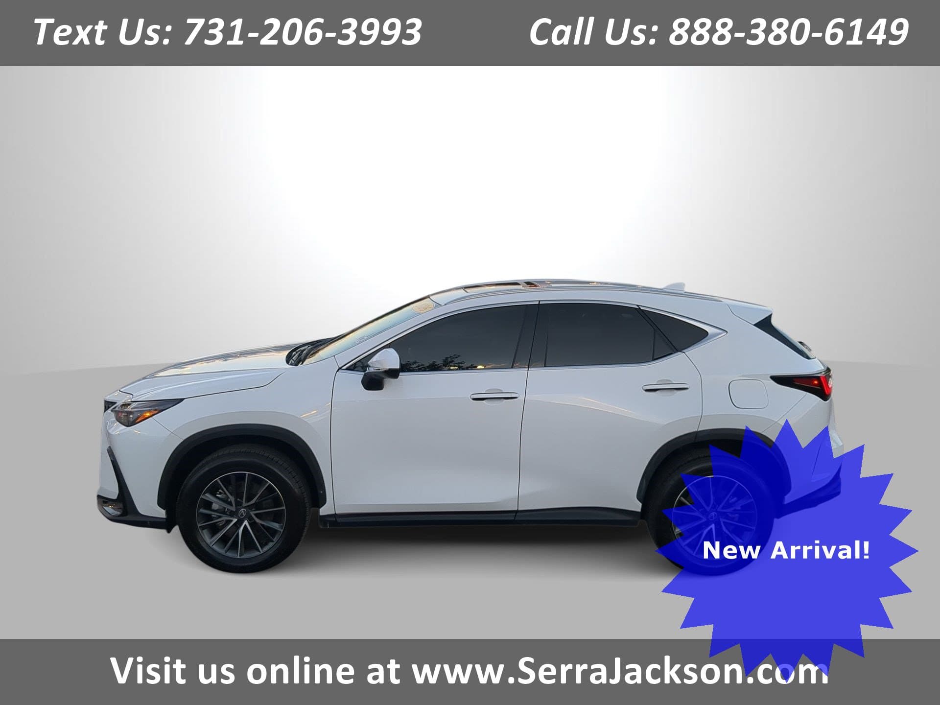 2026 Lexus NX Base — photo 1 of 22