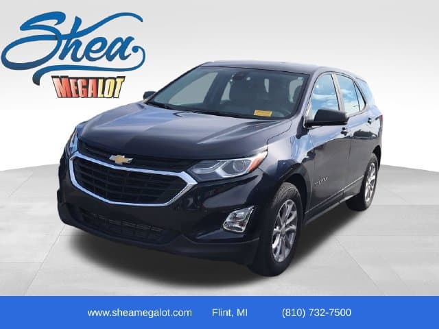 2020 Chevrolet Equinox LS — photo 1 of 13