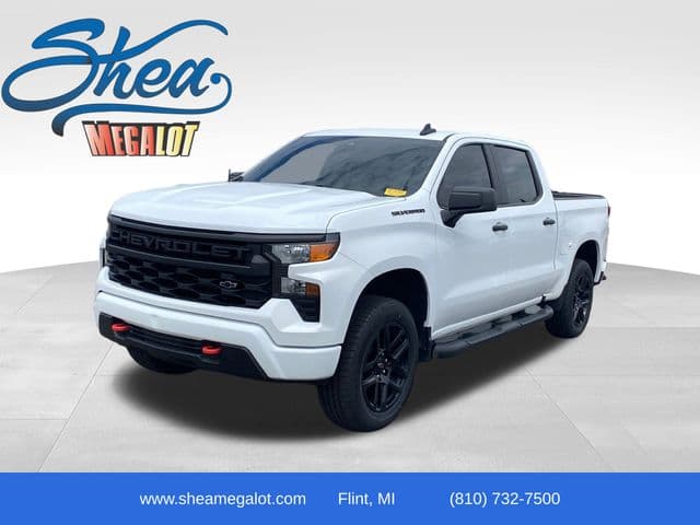 Vehicle Detail Icon