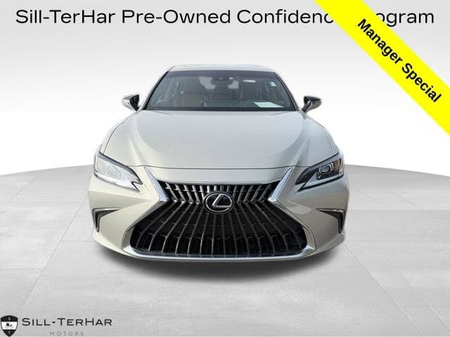 2022 Lexus ES ES 250 — photo 1 of 14