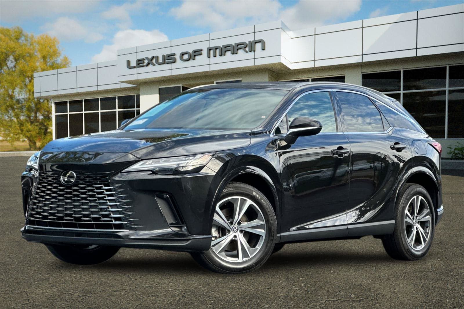2024 Lexus RX RX 350 — photo 1 of 36