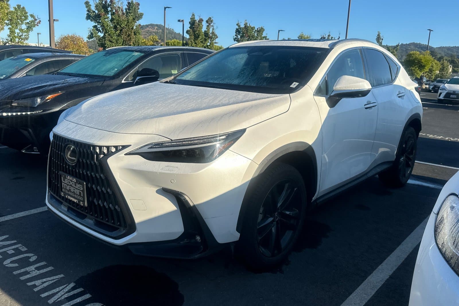 2024 Lexus NX NX 450h+ Luxury — photo 1 of 3