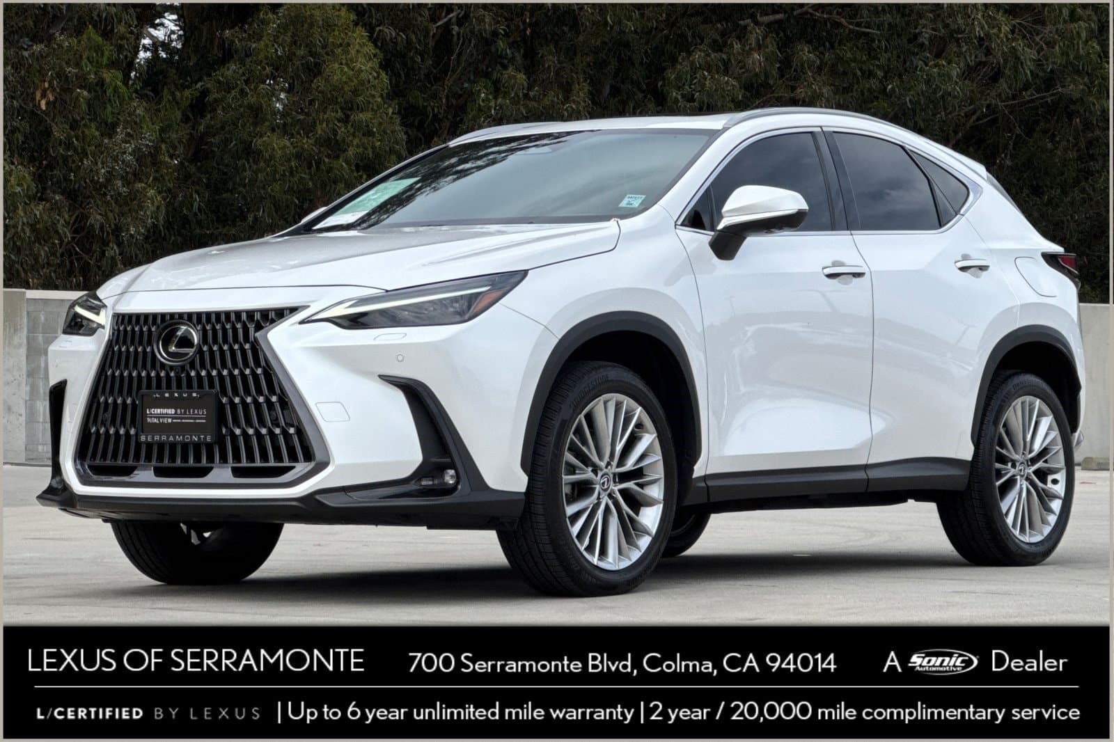 2024 Lexus NX NX 350 Luxury — photo 1 of 37