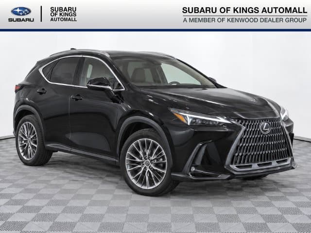 2025 Lexus NX Base — photo 1 of 31