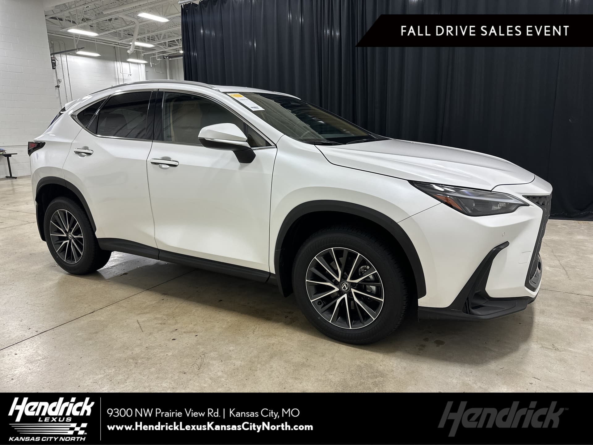 2024 Lexus NX Base — photo 1 of 36