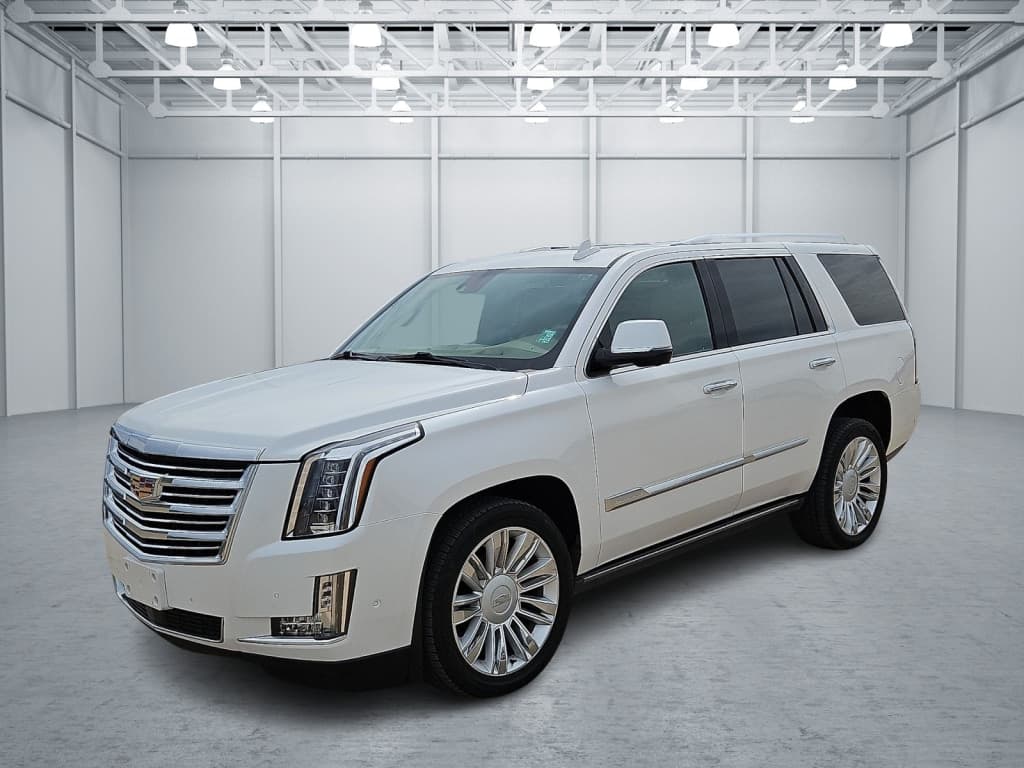 2020 Cadillac Escalade Platinum — photo 1 of 20