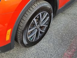 Extra Photo
