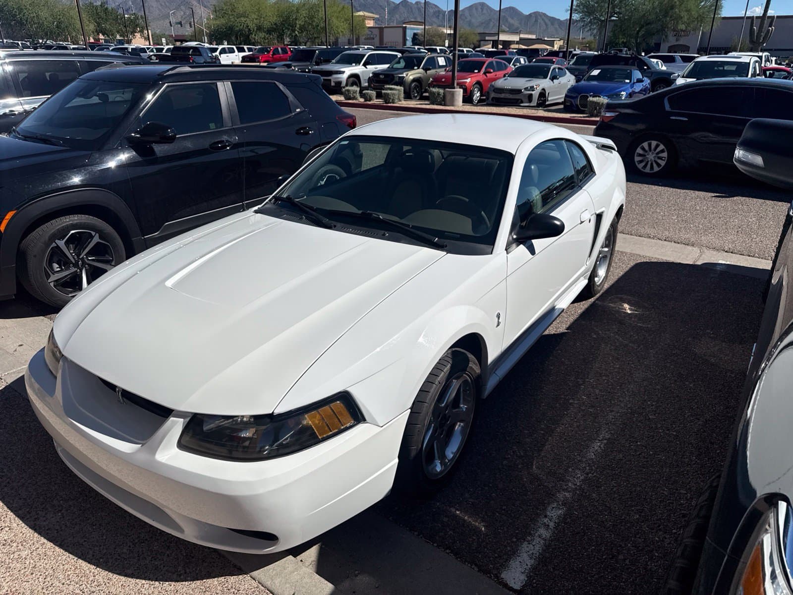 2001 Ford Mustang SVT Cobra — photo 1 of 7