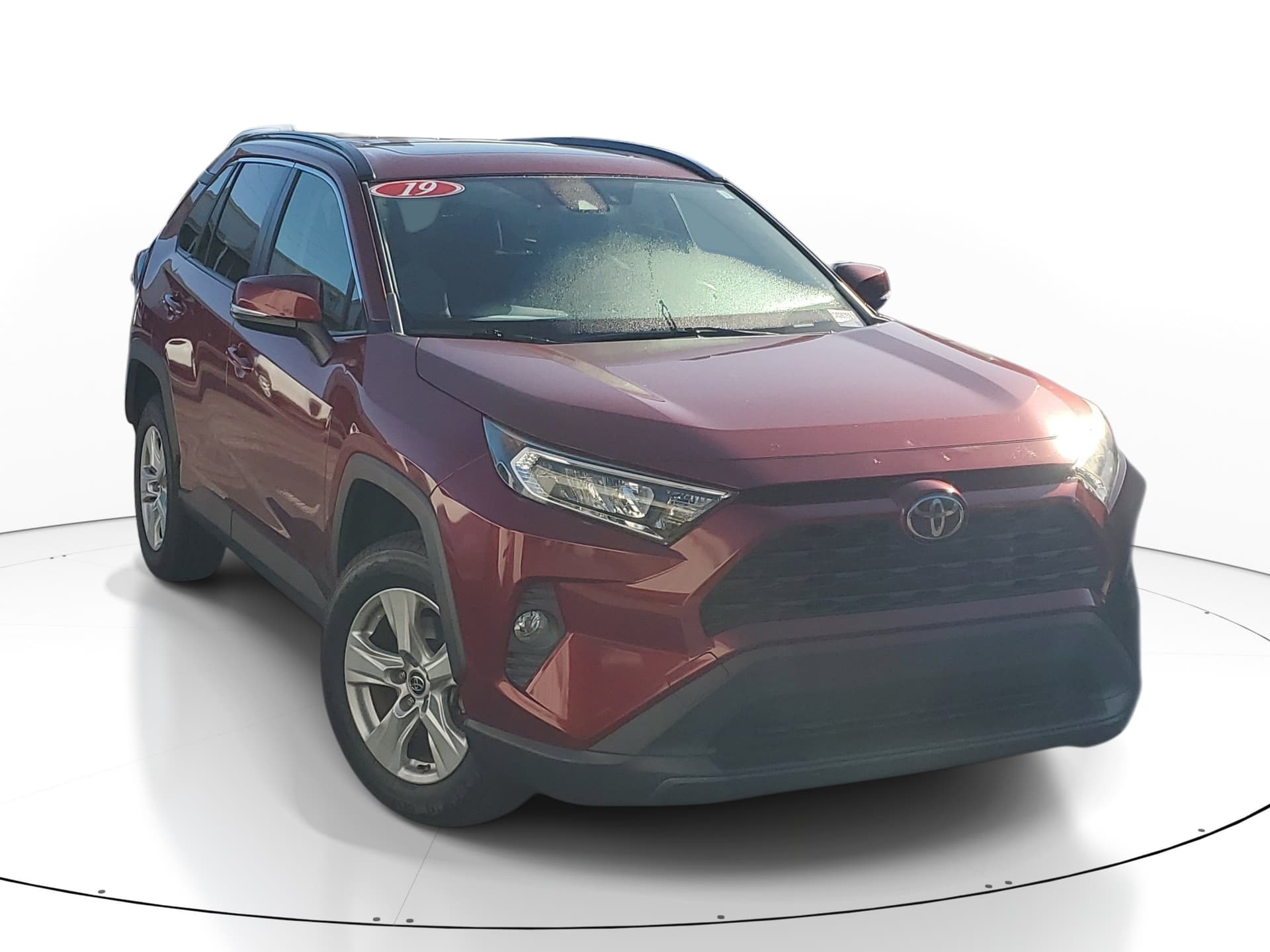 2019 Toyota RAV4 XLE — photo 1 of 11