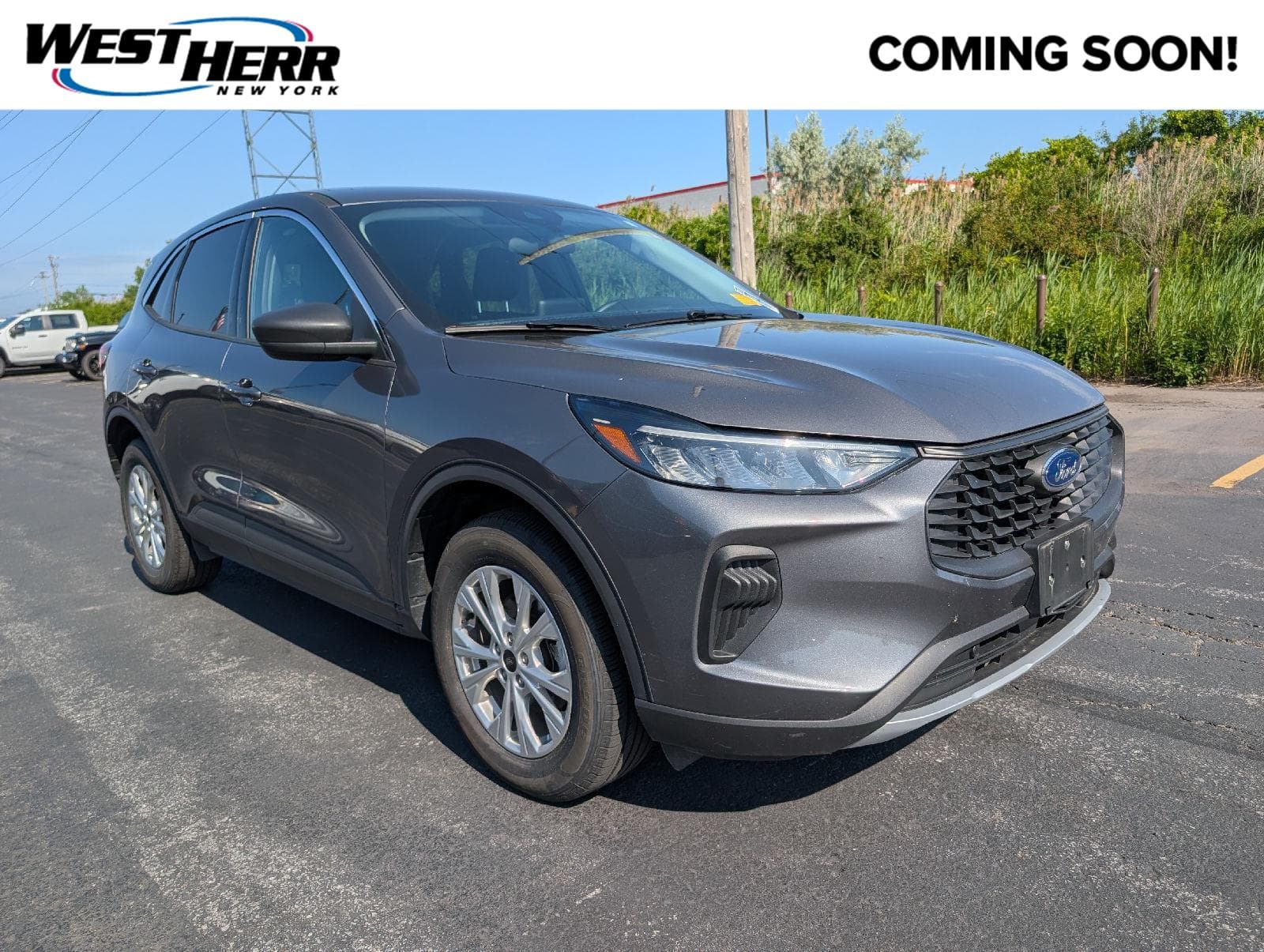 Vehicle Detail Icon
