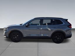 Extra Photo