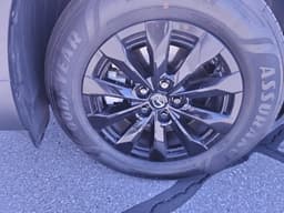 Extra Photo