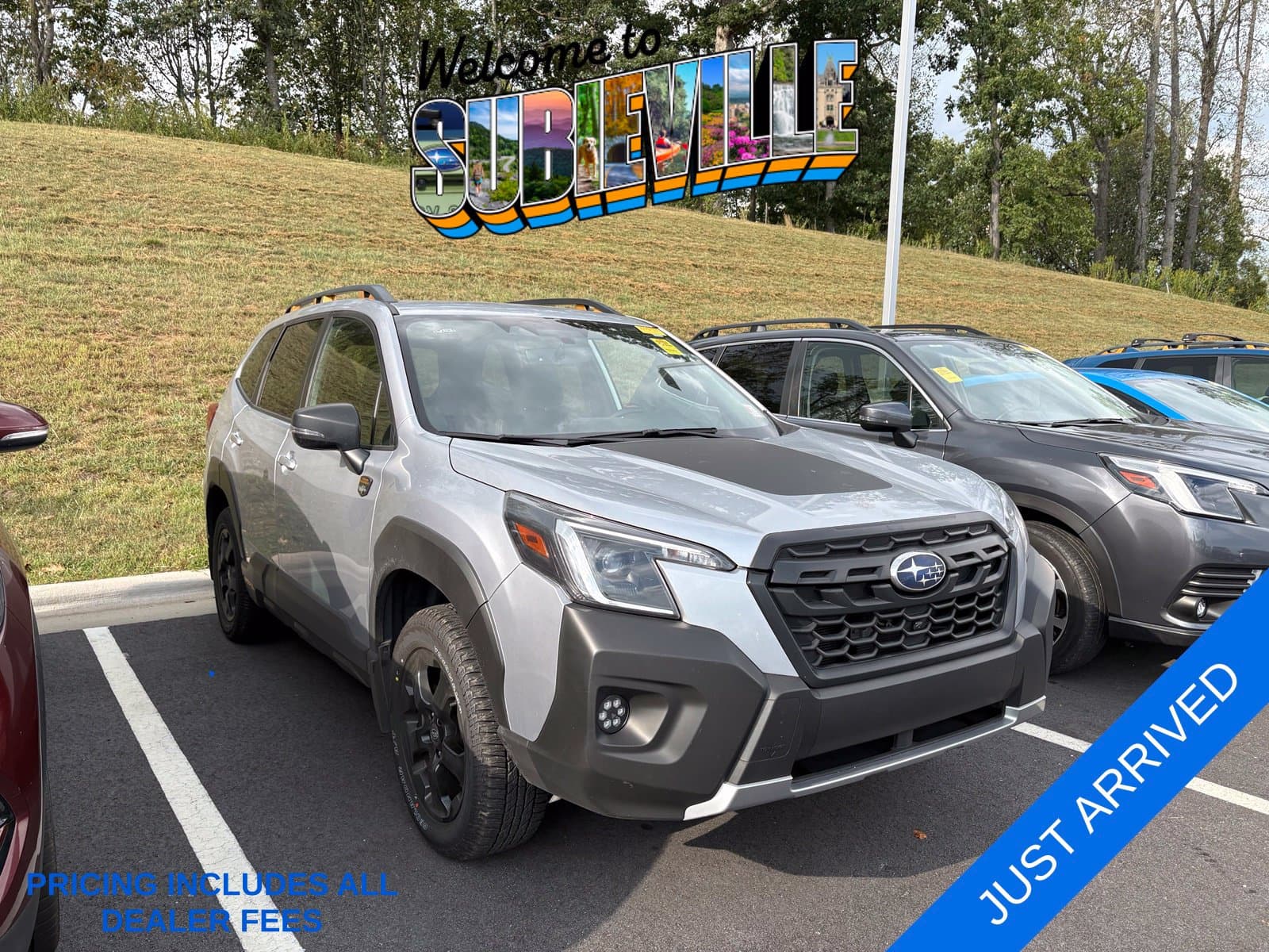 2024 Subaru Forester Wilderness — photo 1 of 10