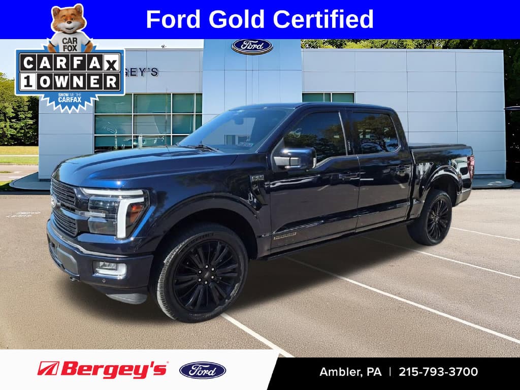 2024 Ford F-150 Platinum — photo 1 of 45