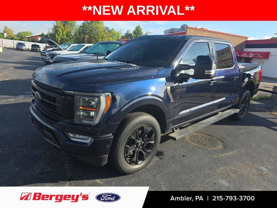2023 Ford F-150 Platinum — photo 1 of 13