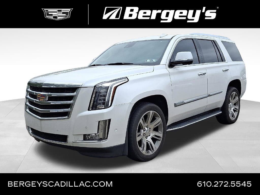 2020 Cadillac Escalade Luxury — photo 1 of 9