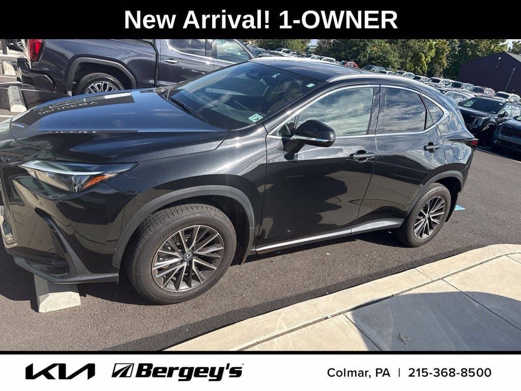 2024 Lexus NX Base — photo 1 of 17