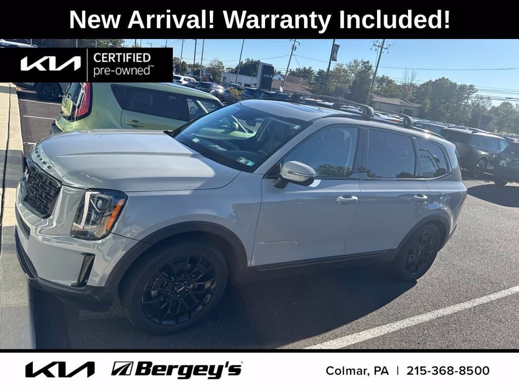 2022 Kia Telluride EX — photo 1 of 18