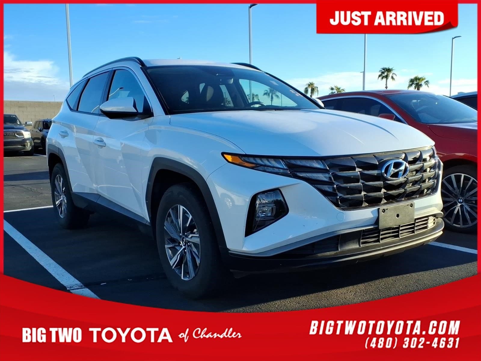 2024 Hyundai Tucson Hybrid Blue — photo 1 of 4