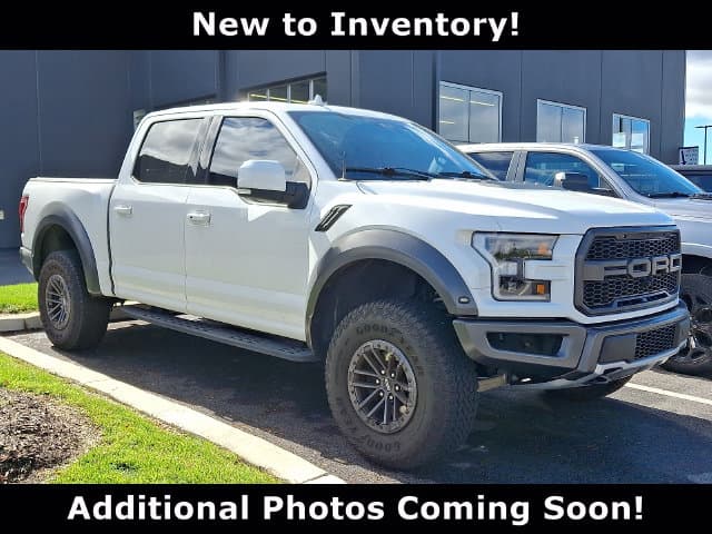 2020 Ford F-150 Raptor — photo 1 of 10