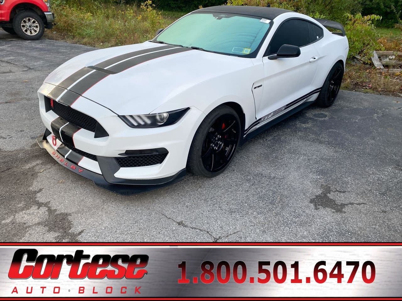 2020 Ford Mustang Shelby GT350R — photo 1 of 4