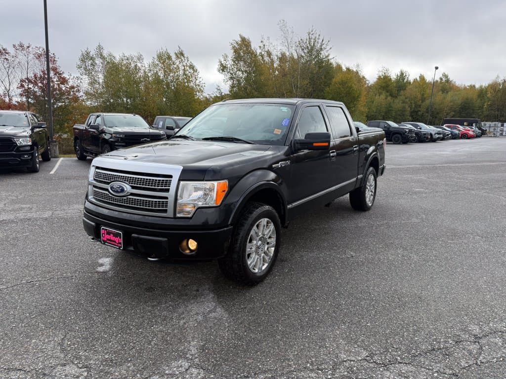 2012 Ford F-150 Platinum — photo 1 of 10
