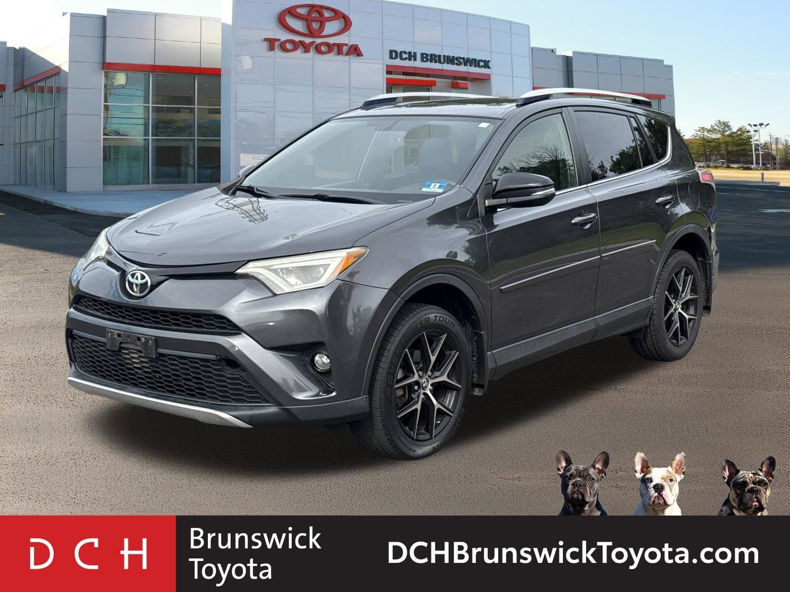 2016 Toyota RAV4 SE — photo 1 of 31