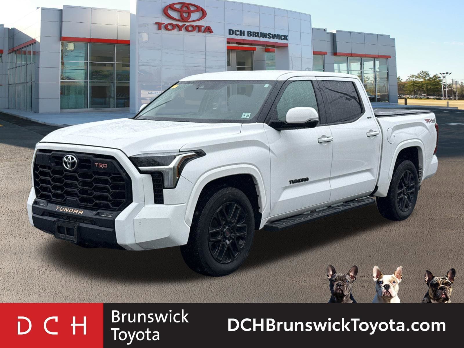 2023 Toyota Tundra 4WD SR5 — photo 1 of 35