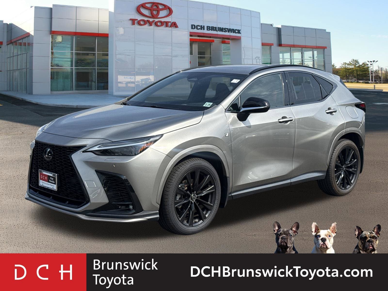 2023 Lexus NX Base — photo 1 of 42