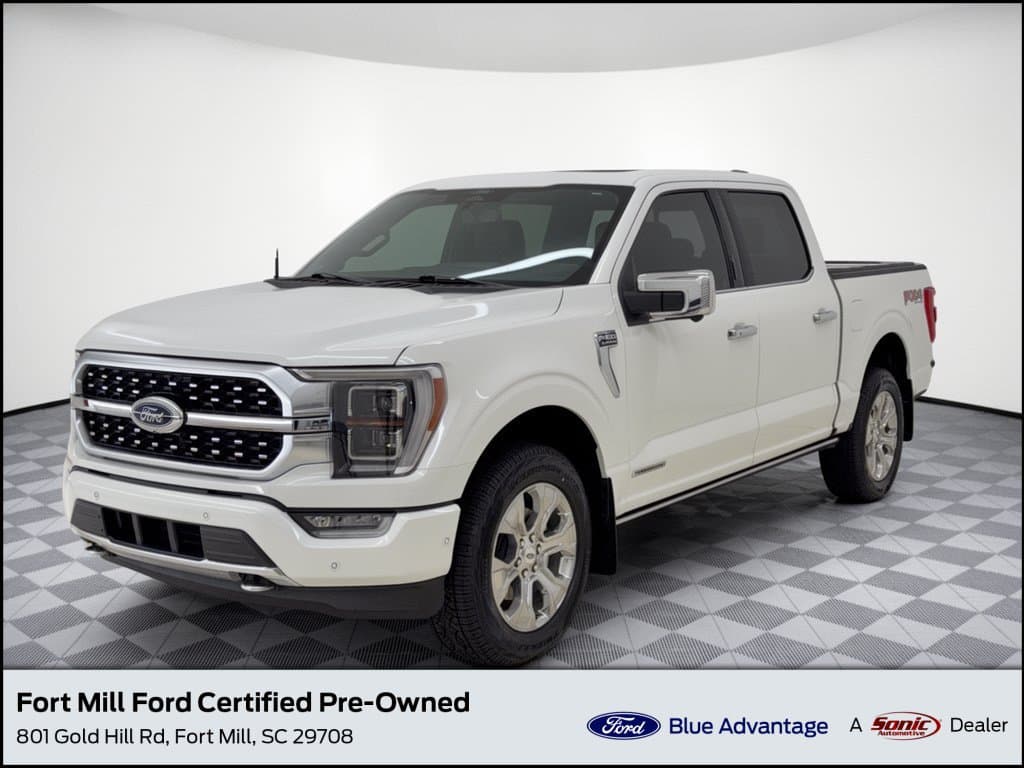 2022 Ford F-150 Platinum — photo 1 of 31