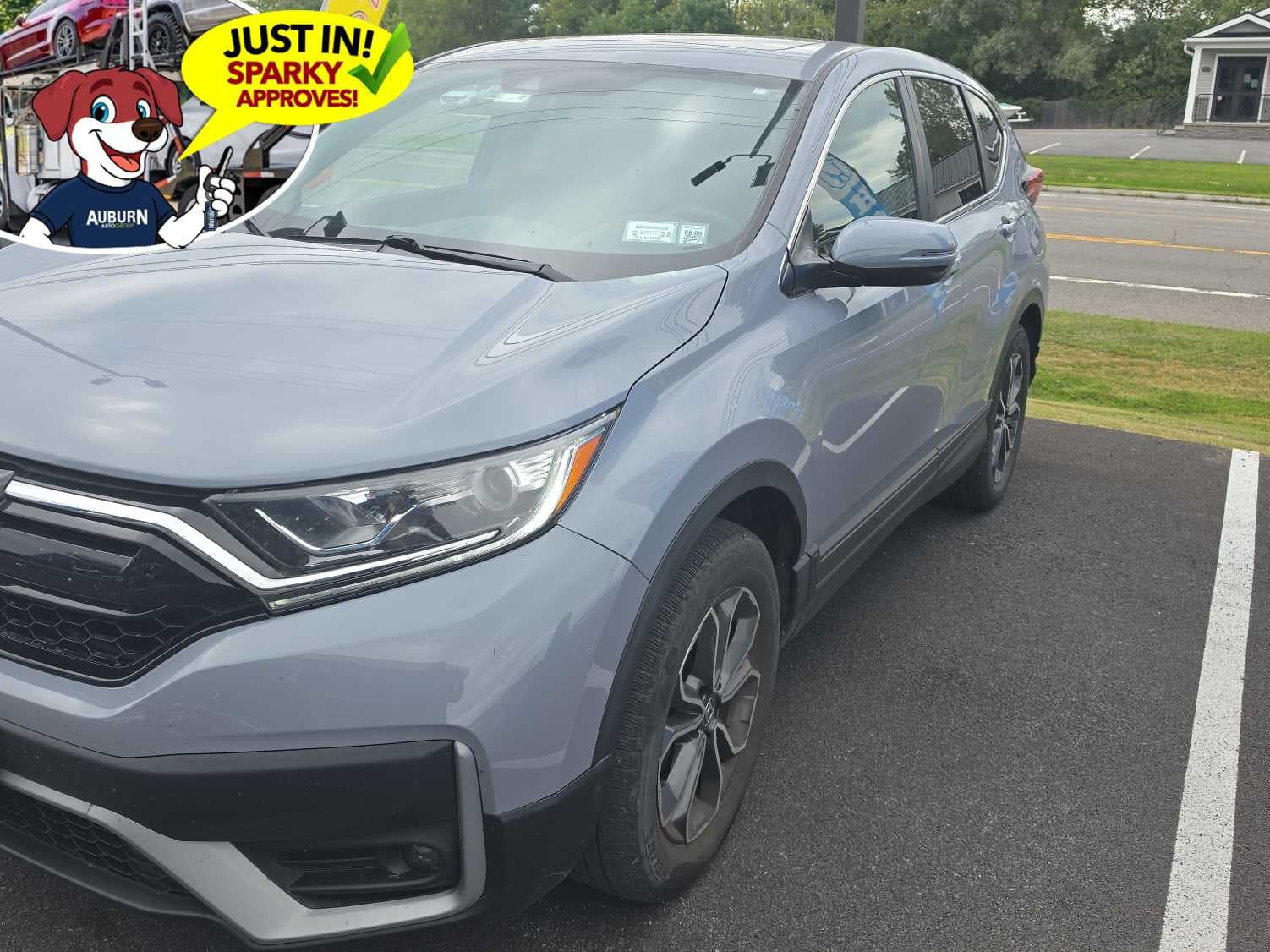 2022 Honda CR-V EX — photo 1 of 10